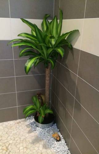 Rénovation des murs d'une salle de bain dans le 14