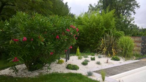 Aménagement d'un jardin décoratif près de la piscine à Rochefort 17