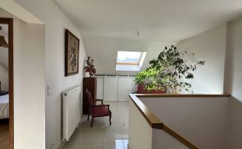 lucarne