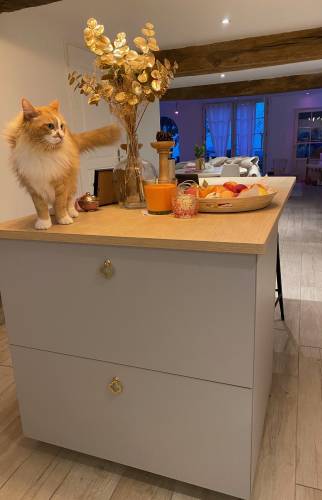 îlot central de cuisine