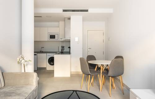 appartement limoges