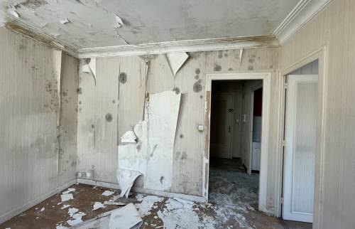 pièce à vivre avant travaux, suite à un dégât des eaux