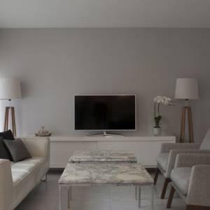 Aménagement du salon