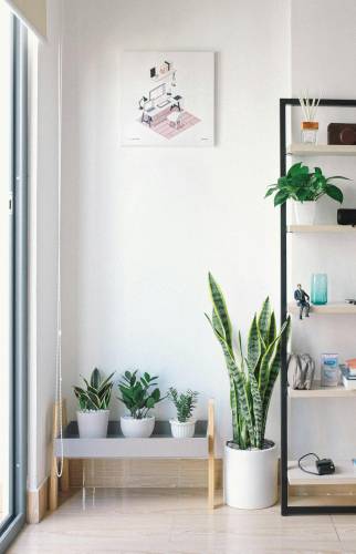 appartement décoré à Issy