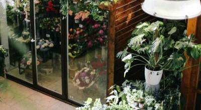 Eclairage magasin de fleurs