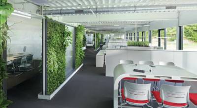 Végétalisation d'un open-space