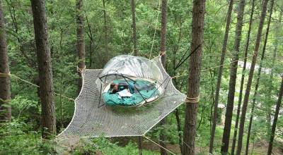 Tente dans les arbres