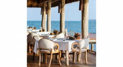 Création ou rénovation de la terrasse d’un restaurant : un enjeu stratégique pour l’attractivité et la rentabilité - Creully sur Seulles 14480