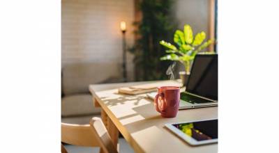 Comment rendre des bureaux plus chaleureux et moins impersonnels ? Chouain 14159