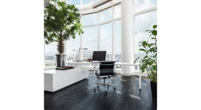 Comment apporter de la lumière naturelle à un bureau sans fenêtre ? - Saint-Aubin-des-Préaux 50380