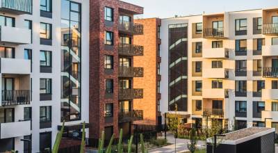 rénovation appartement muret