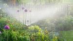 Comment aménager une allée de jardin à Poissy ?
