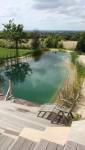 Piscine naturelle 4