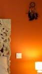 TENDANCE PEINTURE - DAMGAN 56750