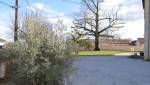 Rénover son jardin à Bordeaux