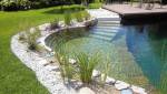 Piscine naturelle 2