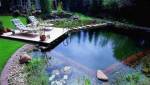 Piscine naturelle forme ovale
