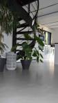 Apres pose carrelage dans salon 
