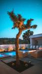Un coin piscine de nuit 