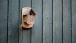 Focus sur la maison en bois par La Maison Des Travaux Nantes Ouest Saint Herblain