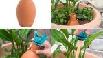 Oyas à planter