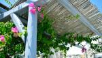 Une pergola en bois avec des canisses