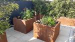 Bacs corten, potager à Sierentz