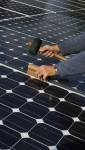 Pose de panneaux solaires à Auvernaux (91)
