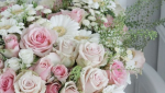 Couleurs des fleurs pour un esprit shabby chic