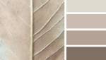 Nuances des teintes 1 pour un style shabby chic