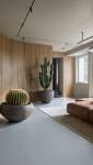 Cloison bois aux formes arrondis