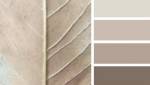 Nuances des teintes 1 pour un style shabby chic
