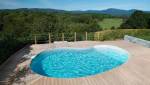 Piscine haricot