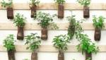 Idées de jardin suspendu pour balcon
