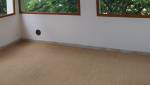 Sisal