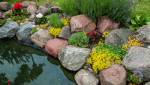 Installer une serre de jardin