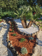 Aménagement de jardin sec