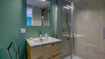 focus sur le lavabo et la douche