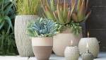 Luminaires et pots