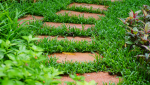 Une allée dans un jardin Haguenau