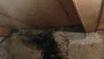 Rénovation d’une maison en cours à Vénérieu (38460)