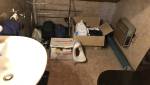 photos des WC avant chantier ! 