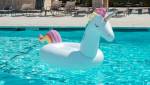 Pisciniste à Royan