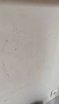 Mur à assainir