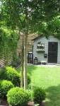 Aménagement de jardin avec pelouse et cabanon de jardin - Bouc-Bel-Air-13