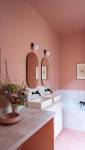 Revêtement de salle de bain en peinture - Bouc-Bel-Air-13