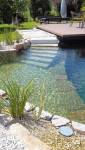 Piscine naturelle - Bouc-Bel-Air 13