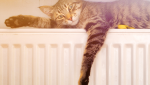 Radiateur à inertie