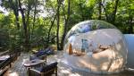 Bulle