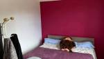Une des chambre d'enfant
